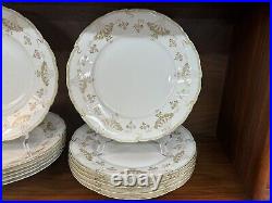 Antique RC Bavaria Rosenthal Iris Art Nouveau Porcelain Floral 37-Pc China Set