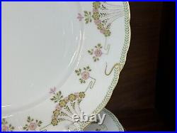 Antique RC Bavaria Rosenthal Iris Art Nouveau Porcelain Floral 37-Pc China Set