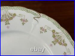 Antique RC Bavaria Rosenthal Iris Art Nouveau Porcelain Floral 37-Pc China Set