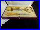 Antique_Sewing_Set_Kit_Case_French_Art_Nouveau_Needle_Case_Notions_Gold_Vintage_01_haf