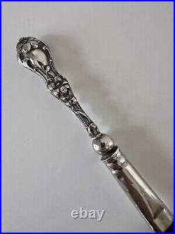 Art Nouveau Antique Sterling Silver Cosmetic Brush Set