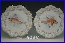 Coiffe Limoges Fish Service Set Of 6 Dinner Plates 9 Different Fish Antique