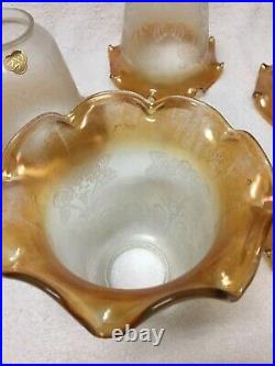 Matching set 5 Vianne France Art Nouveau Etched Satin Glass Lamp Shades 2 1/8