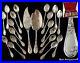 Puiforcat_Iris_Antique_Ice_Cream_Set_French_Sterling_Silver_Art_Nouveau_Flatware_01_hj