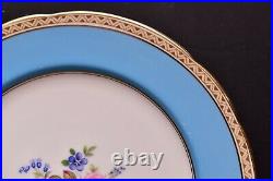 SET of 7 Antique Paragon Star Mark Blue Rim Floral Flower Dinner Plates