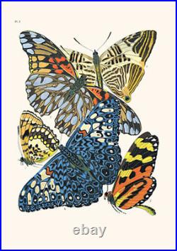 Set of 10 Art Nouveau Butterfly prints A4 unframed natural history botanical
