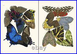 Set of 16 Art Nouveau Butterfly prints A4 unframed natural history botanical