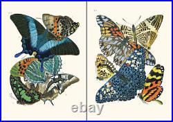 Set of 16 Art Nouveau Butterfly prints A4 unframed natural history botanical