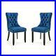 Set_of_2_Elegant_Velvet_Fabric_Upholstered_Side_Dining_Chair_with_Nailhead_Trim_01_pk