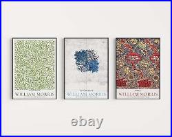 Set of 3 William Morris Prints GREEN BLUE RED Museum Exhibition Art Nouveau Flow