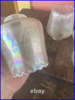 Set of 4 Iridescent Art Nouveau Etched Glass Electric Lamp Light Fixture Shades