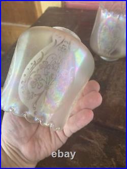 Set of 4 Iridescent Art Nouveau Etched Glass Electric Lamp Light Fixture Shades