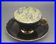 Shelley_England_Rose_Chintz_Tapestry_Black_And_Yellow_Cup_And_Saucer_Set_Rare_01_urmq