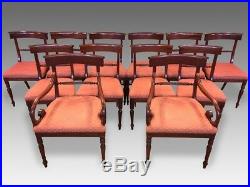 Stunning set 12 William IV style Mahogany Dining Chairs, Pro French polished